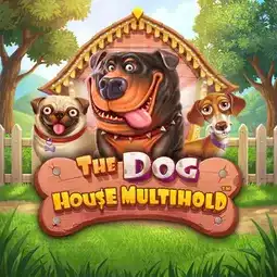 The Dog House Multihold game at Roo Casino for Australia players